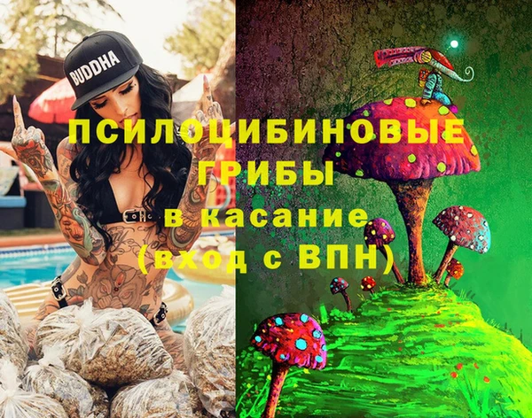 МДПВ Алексин