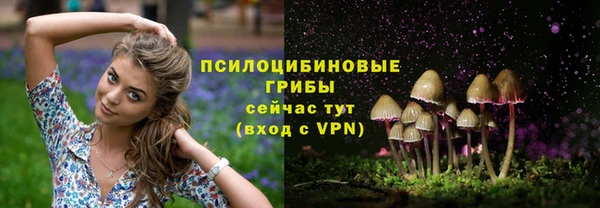соль курить ск Алексеевка