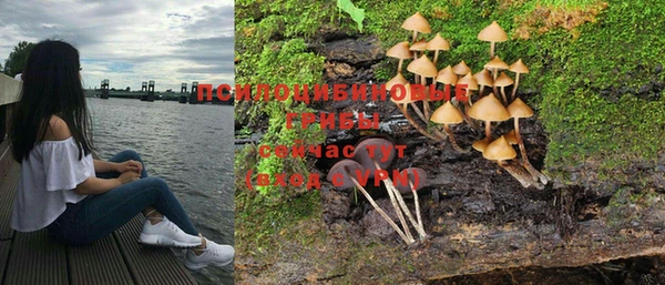 МДПВ Алексин