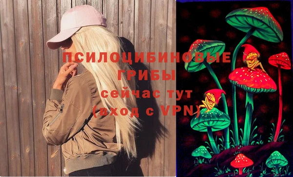соль курить ск Алексеевка